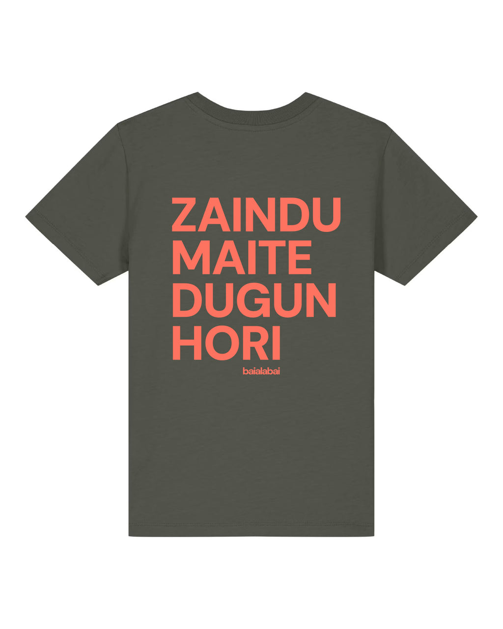 ZAINDU kamixeta