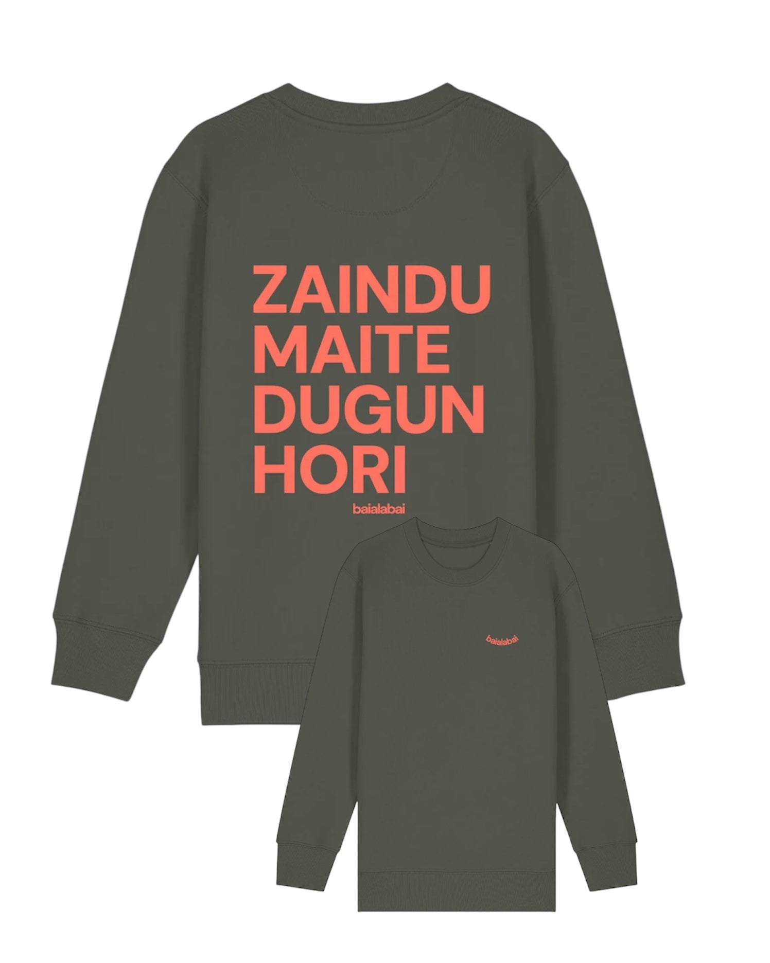 ZAINDU jertsea