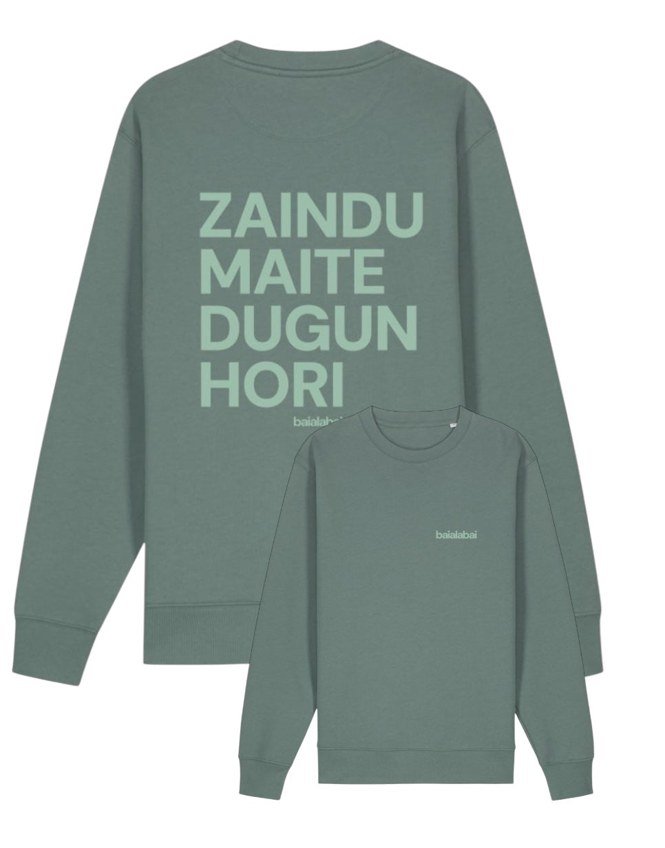 ZAINDU jertsea